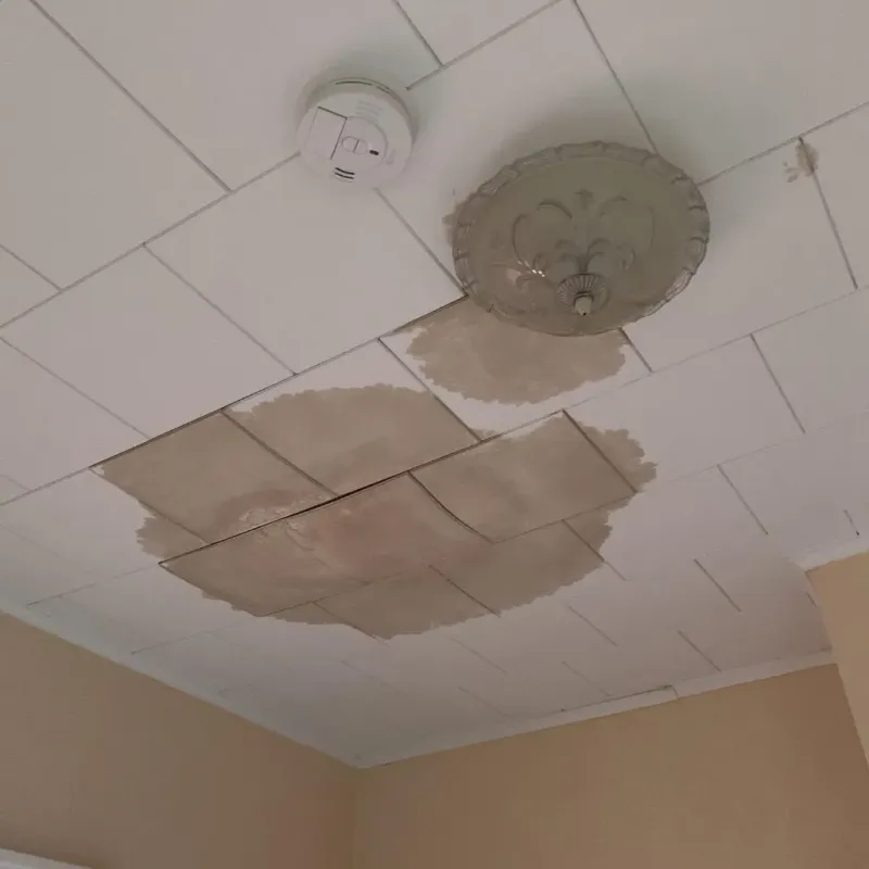 Ceiling Water Damage Repair in Phelps, NY